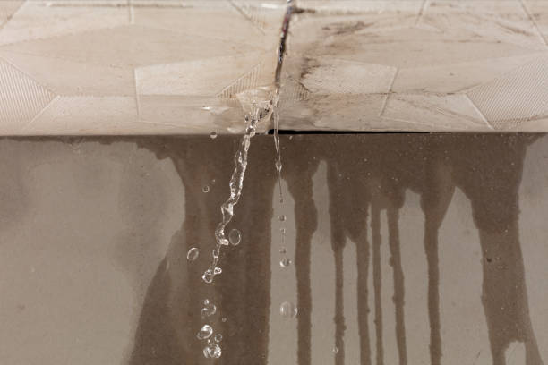 Professional Structural Drying technician working in Brimfield, OH